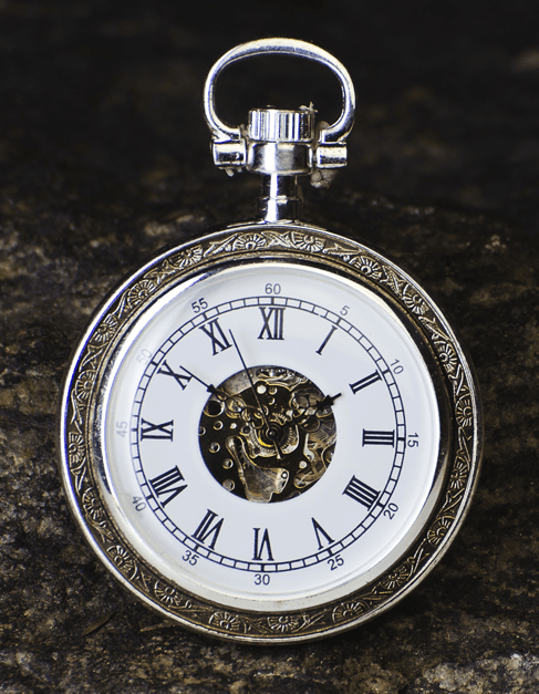 Investment Opportunities